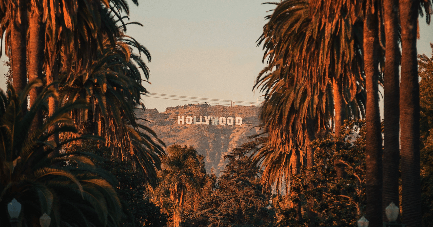 Screen Shot 2020-11-02 at 1.35.32 PM